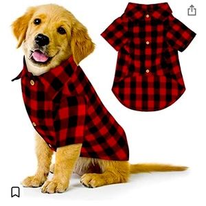 Holiday plaid collar shirt